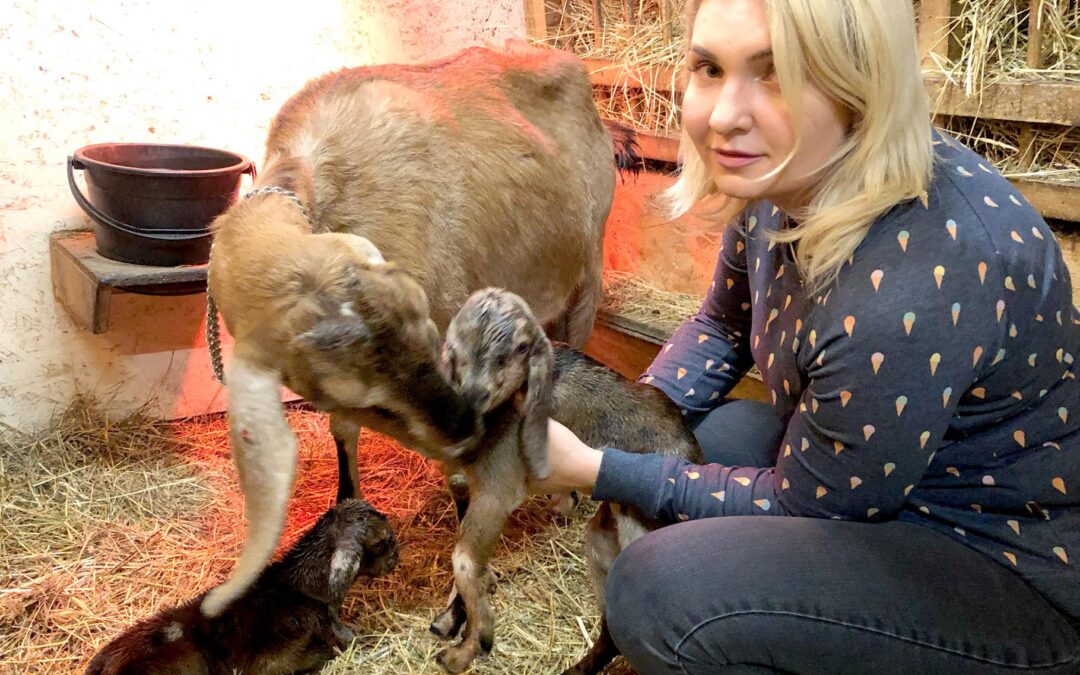 “When the Russians left and the worker got back to the farm, she saw that all the animals were shot dead,” Iryna Bohuslavska, 39, Lypivka, Kyiv Region